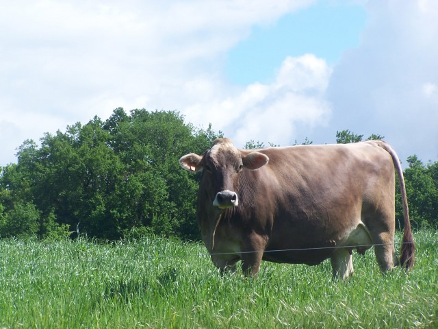 Ferme de Ganuchau