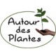 Autour des Plantes