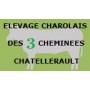 Elevage Charolais des 3 Cheminées