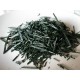 JCO Spiruline