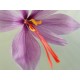 Epice Rouge Safran