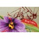 Epice Rouge Safran