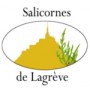 Salicornes de Lagrève