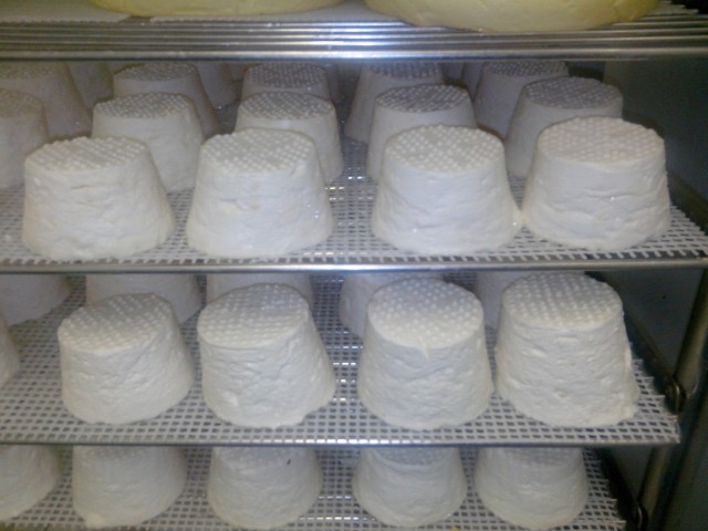 Egouttage des fromages