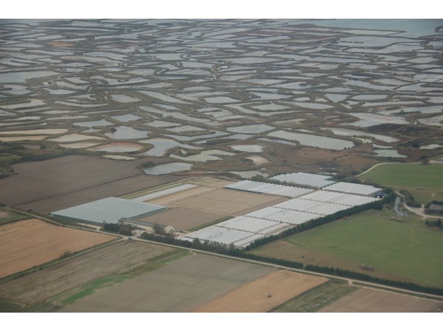 SCEA du Beslonneau