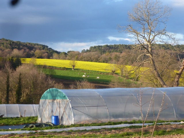 L'Atelier des Bons Plants