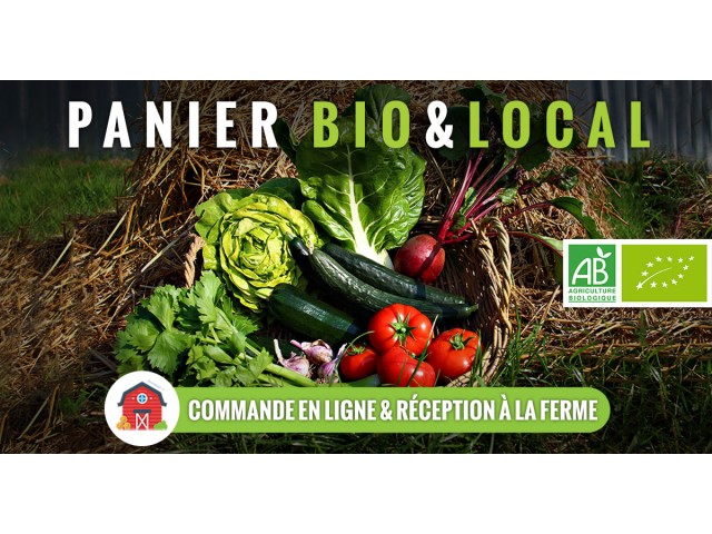 Panier bio de saison