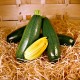 Courgette