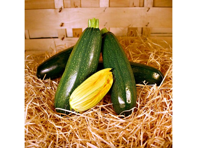 Courgette