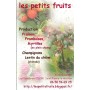 Les Petits Fruits