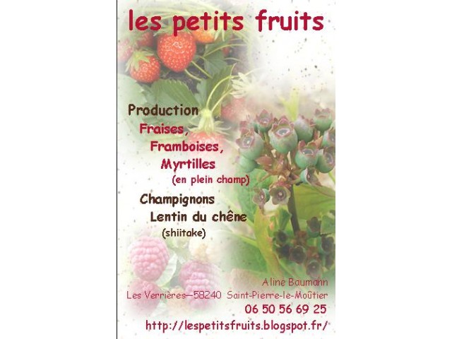 Les Petits Fruits