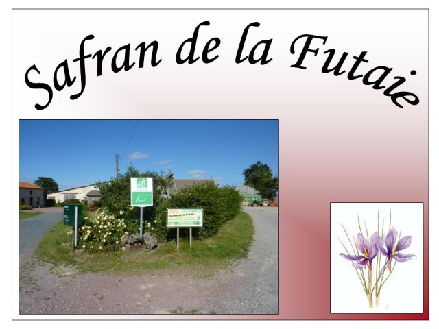 Safran de la Futaie