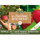 Cueillette de hoymille