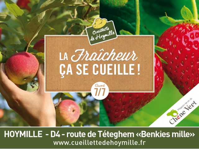 Cueillette de hoymille
