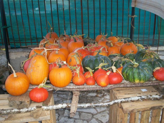 Les Jardins du Jour recolte 2014