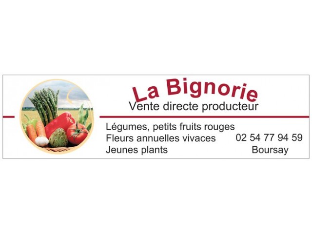 La Bignorie