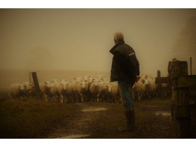 La ferme de tom