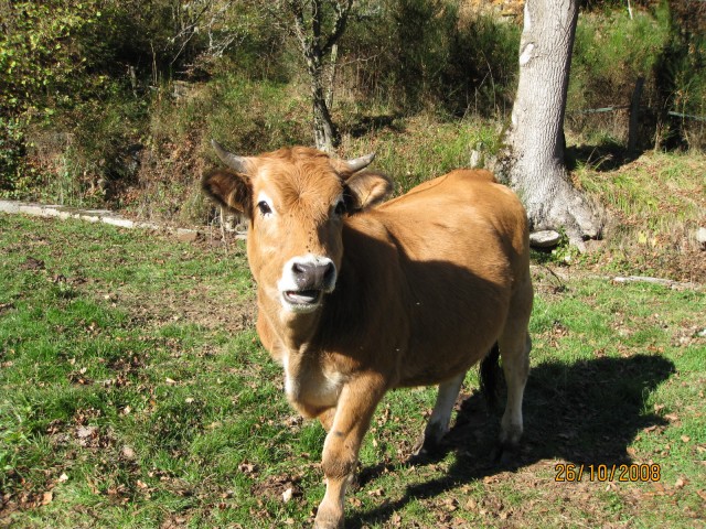 La Ferme de Saint-Bonnet