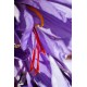 L'Or Rouge des 3 Rivières - Safran de Provence, détails du pistil du crocus sativus