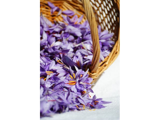 L'Or Rouge des 3 Rivières - Safran de Provence, panier de fleurs de crocus sativus