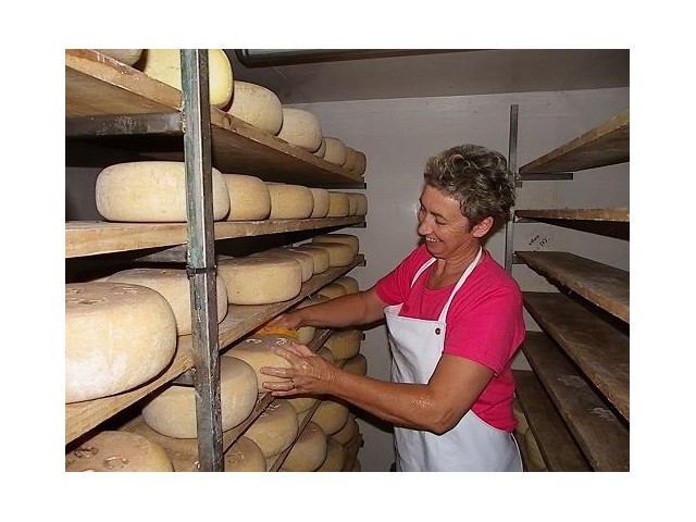 affinage des fromages, dans notre saloir