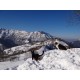 Laïka et Appach se promènent dans la neige, juste au dessus de la ferme