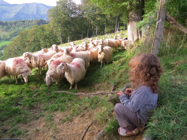 notre petite bergère....