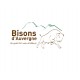 Bisons d'Auvergne