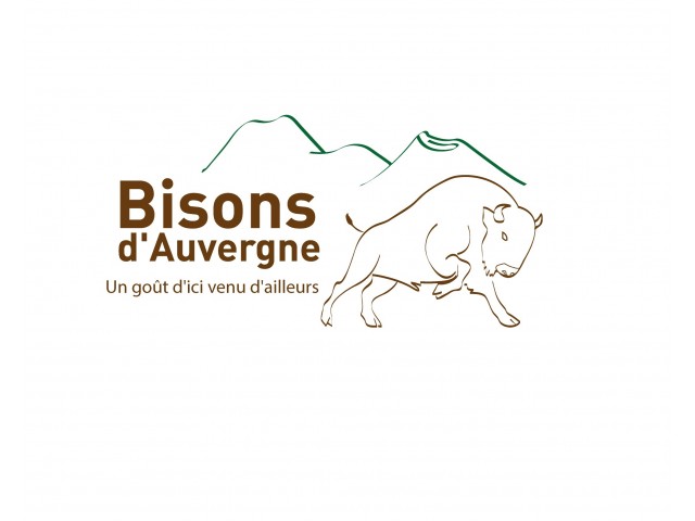 Bisons d'Auvergne