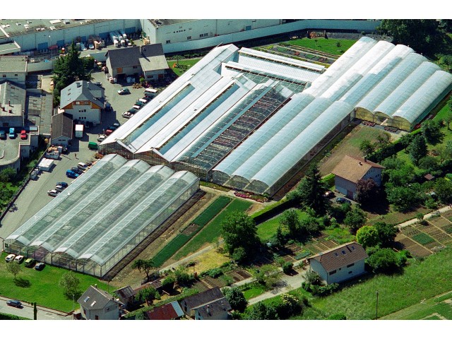 L'entreprise sur 8000m²