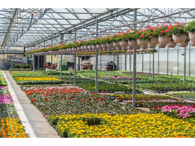 sous nos serres au printemps