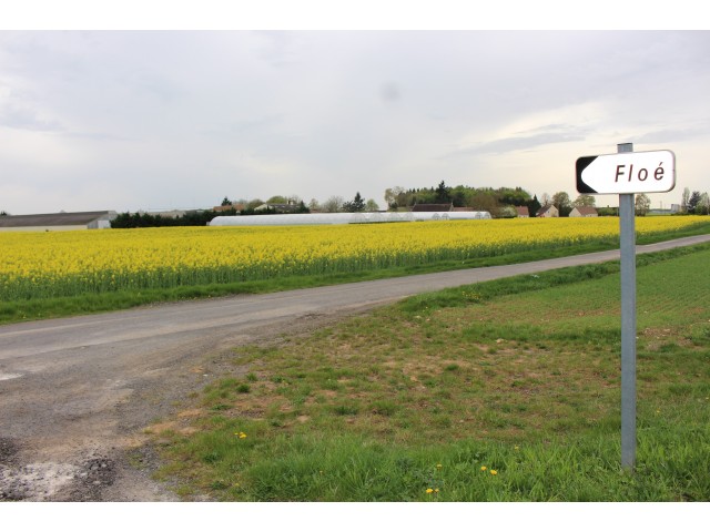 La Ferme de Floé