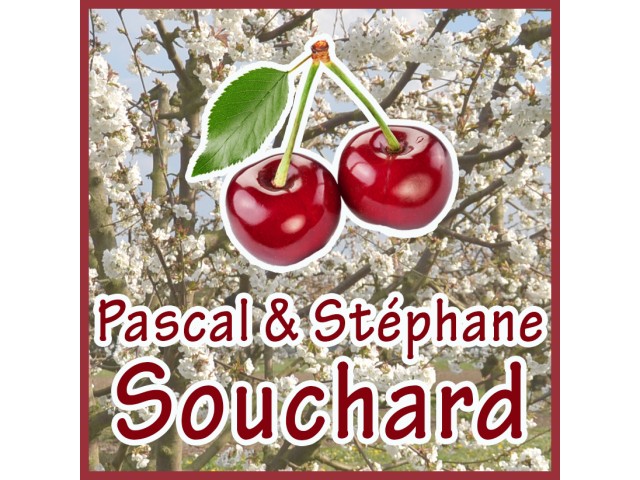 Logo Souchard