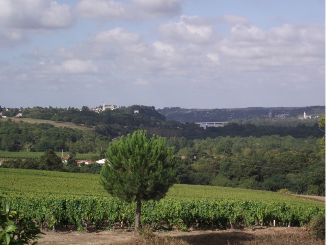 Vue du domaine