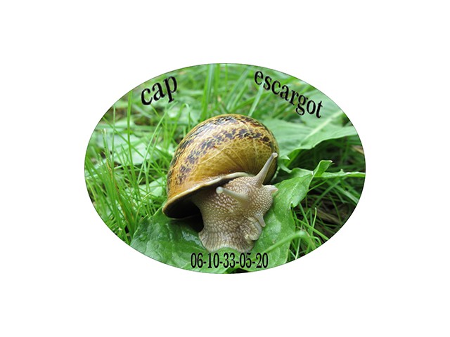 Cap Escargot