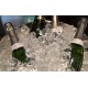 Bouteilles de Champagne Arnaud  Beaufort et Fils