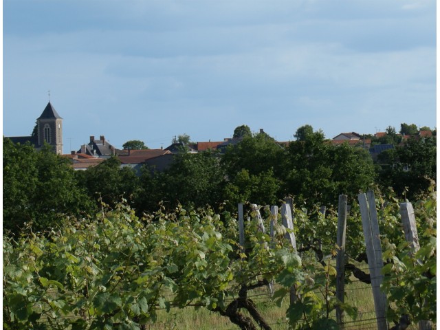 EARL LAURILLEUX - DOMAINE DE CHANTEMERLE