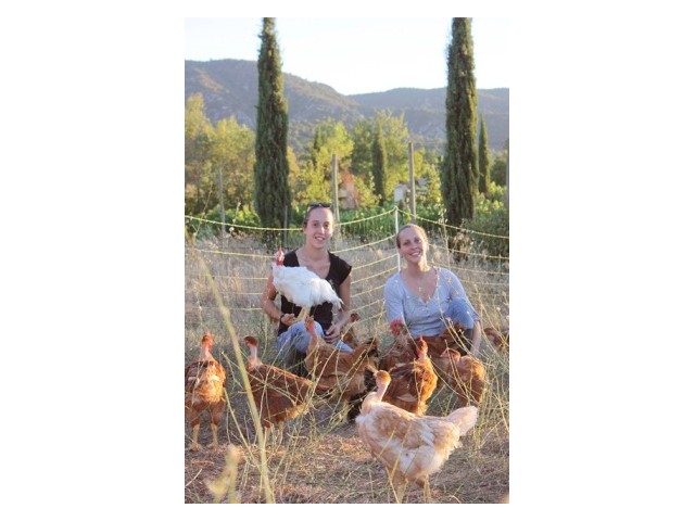 GAEC Poules & Co.