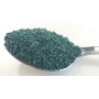 Spiruline de Rochefort