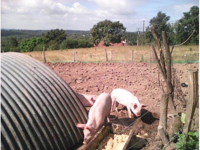 ferme grattepanche geoffrey