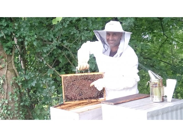 Saveurs des ruches dorées