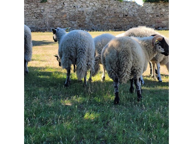 La ferme JMC