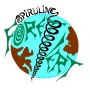 logo Spiruline Foret Vert