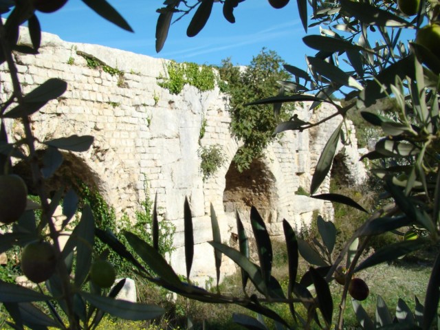 Les Oliviers de l'Aqueduc