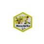 ManuApiBee