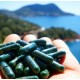 Spiruline en gélules La Spiruline du rocher