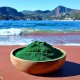 spiruline en poudre La Spiruline du rocher