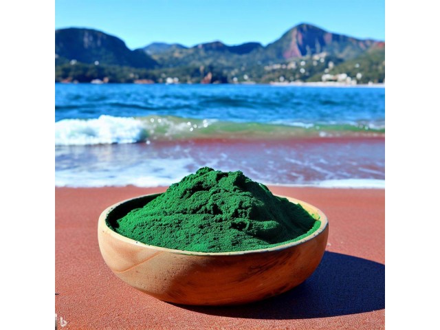 spiruline en poudre La Spiruline du rocher