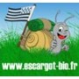 L'Escargot Bio du Pays de Cornouaille