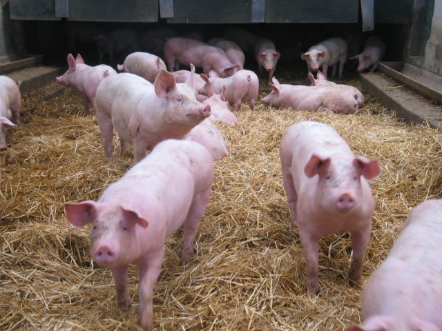 Ferme de la Moinerie